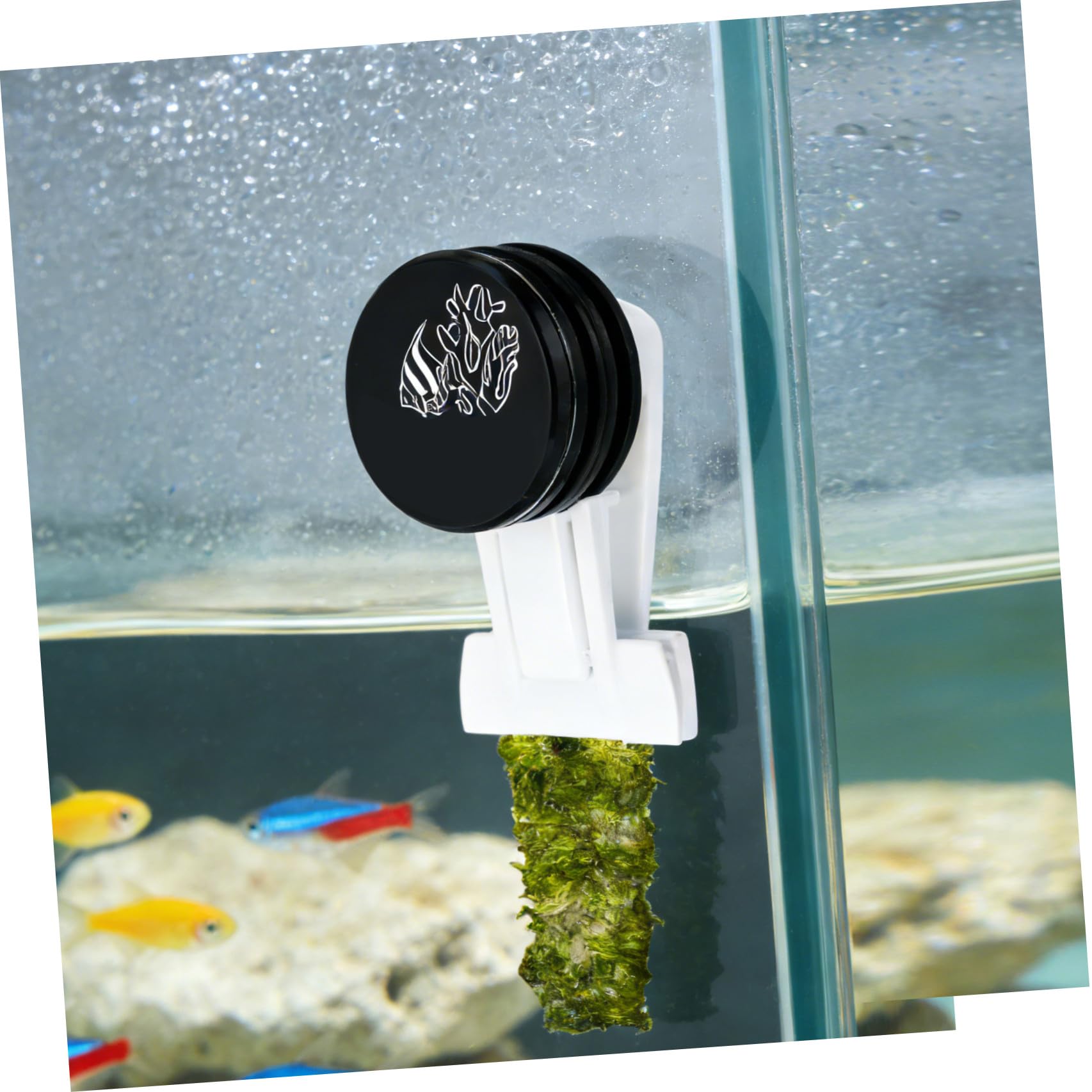 Toddmomy Clip per pesci, verdure, alghe e piante: clip per mangiatoia per pesci, morsetto per mangiatoia per rossi, strumento per l'alimentazione dell'acquario per animali acquatici con