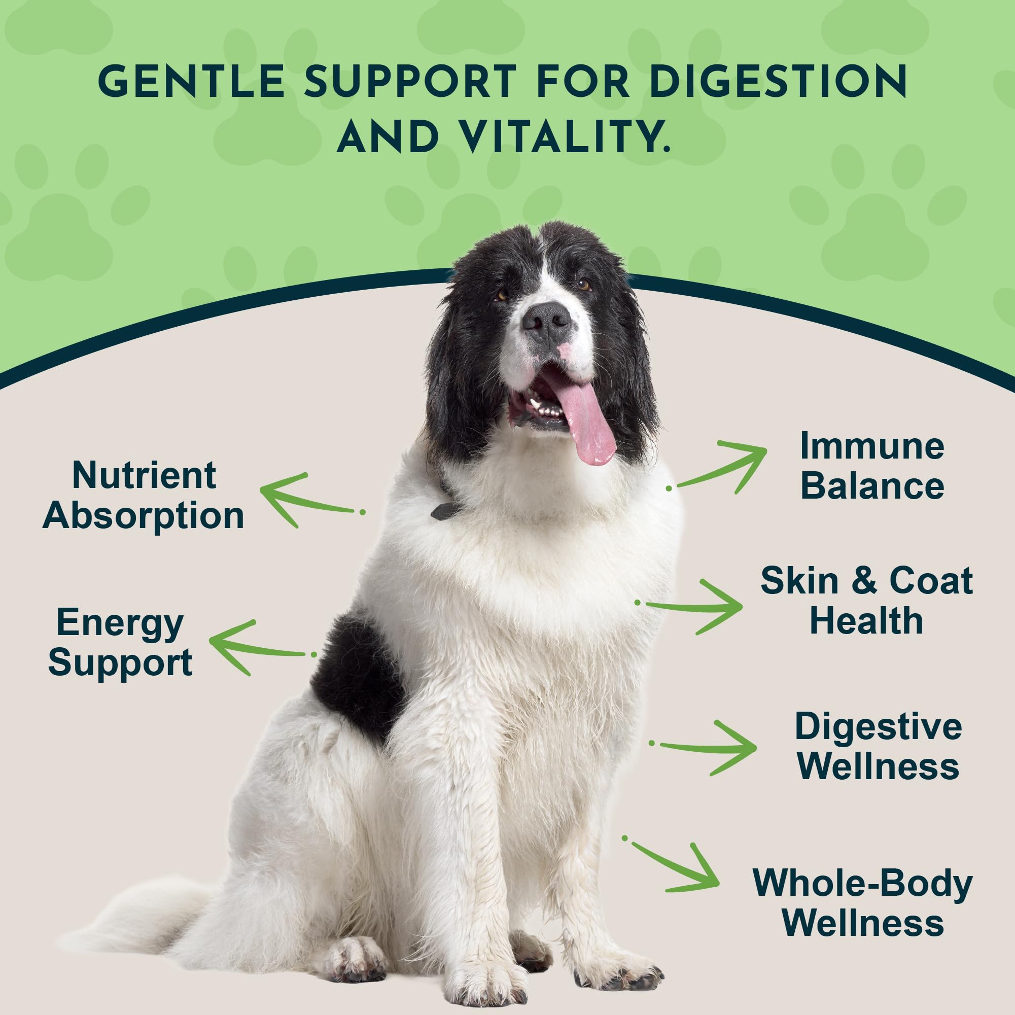Animal Essentials Herbal Green Alternative Dog & Cat Antioxidant 12-Oz. - 2 Pack