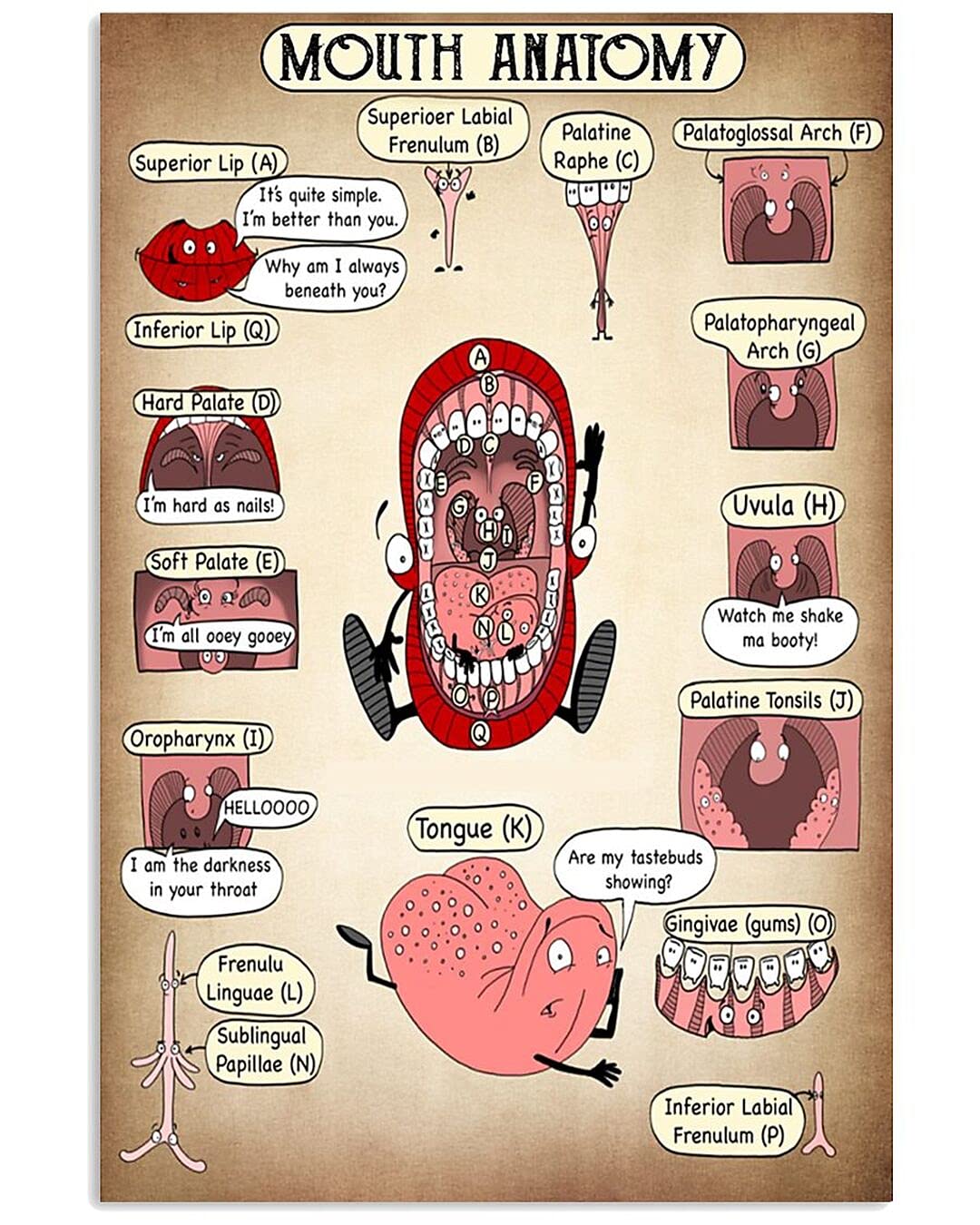 peiyeety Mouth Anatomy Metal Sign Vintage Office Decor Oral Knowledge Tin Poster Home Room Wall Decoration Plaque es 8"x12"