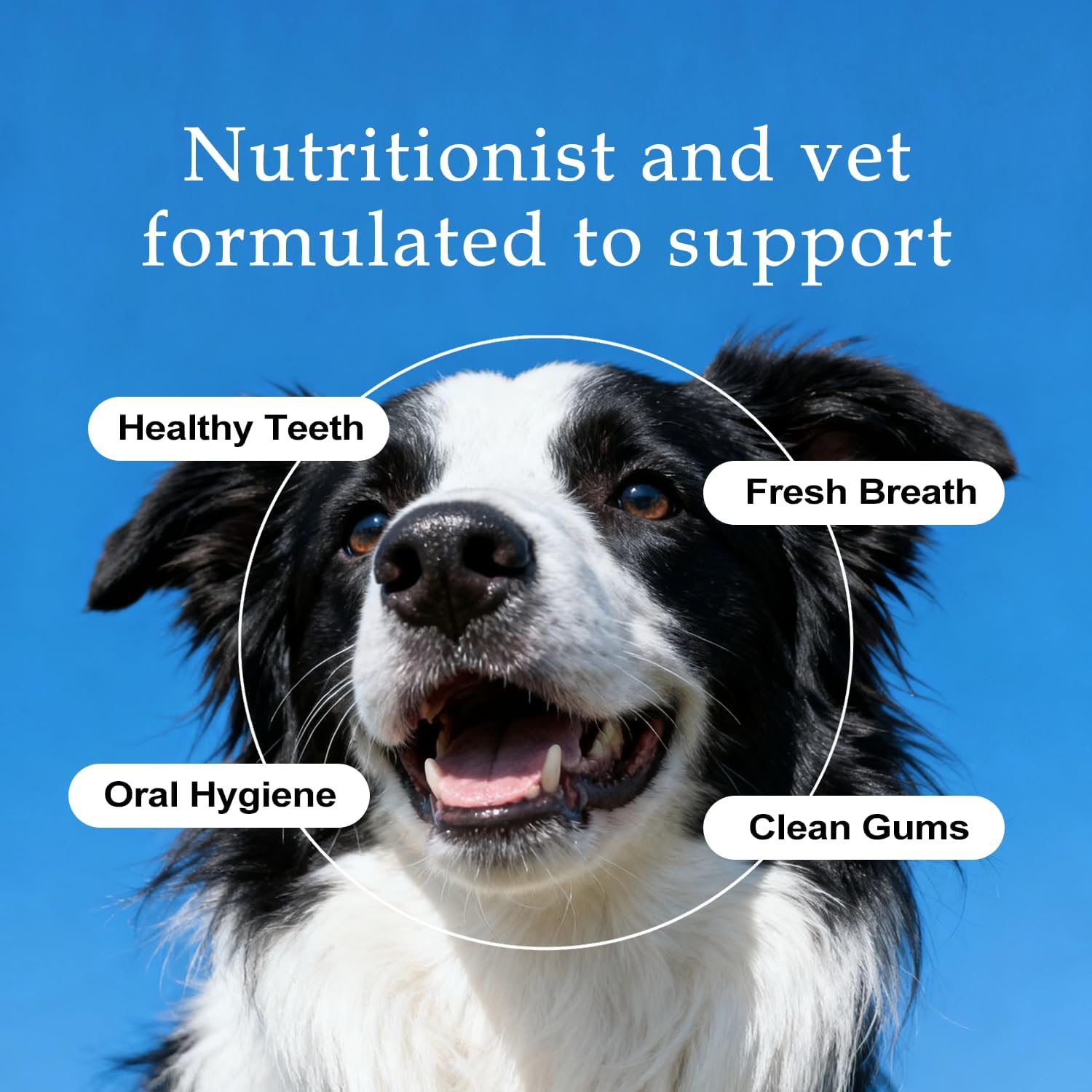 Dental Water Additive, Specialized Dental Care Formula, Natural Flavorless Teeth Cleaning Mouthwash, Freshens Dog Breath & Promotes Healthy Gums, Easy Daily Use for All Pet（1pcs） - image 4