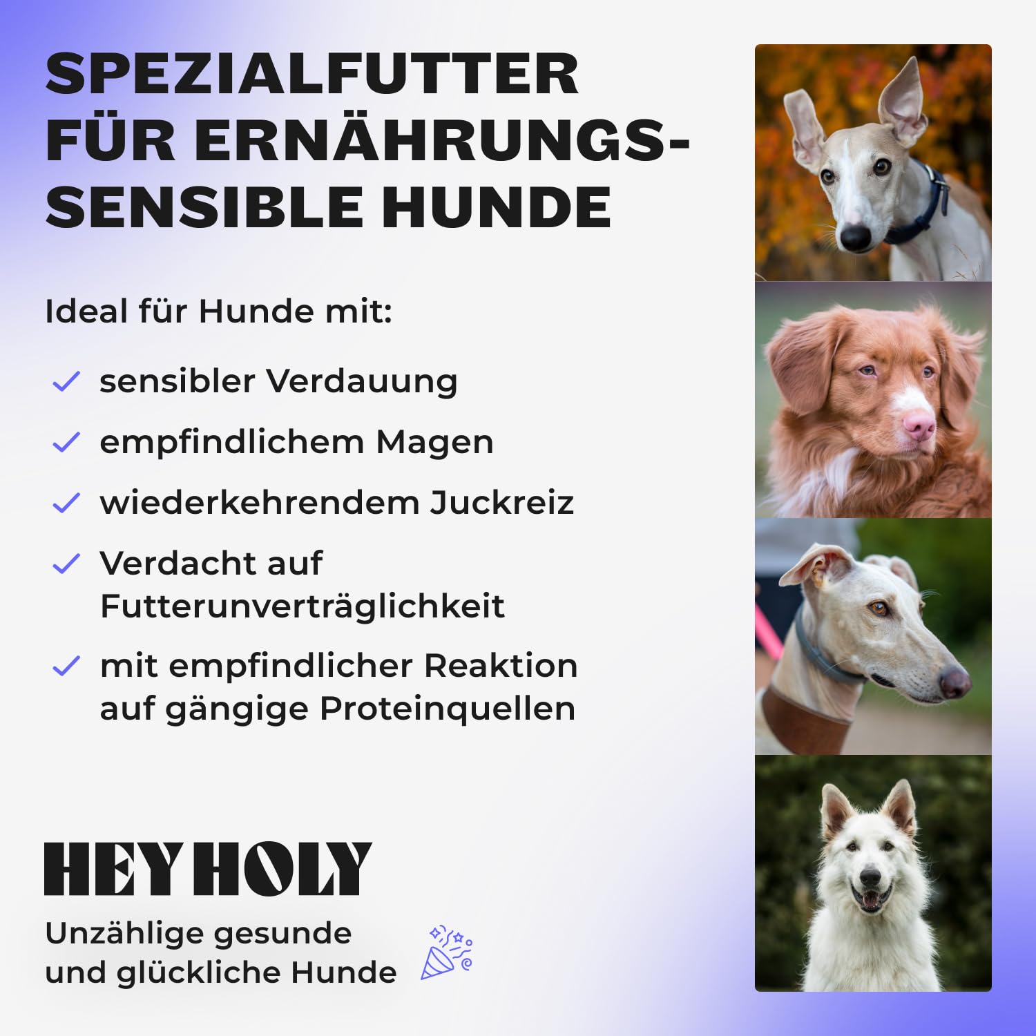 HEY HOLY Sensitives Hundefutter Pferd | Hypoallergenes, getreidefreies Hundefutter trocken für ernährungssensible Hunde | Maximale Verträglichkeit durch allergenreduzierte Rezeptur, natürliche Zutaten