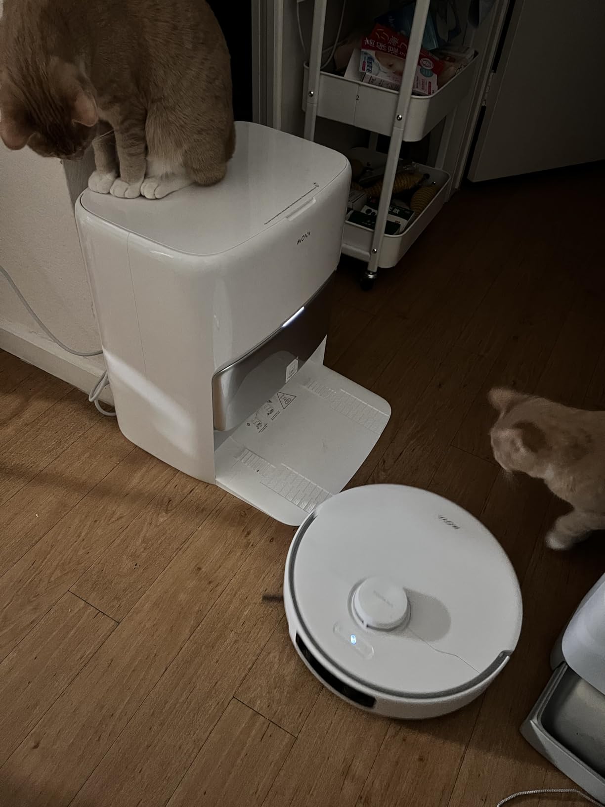 Mova P50 Pro Ultra Robot Vacuum with Removable & Liftable Mop, 19,000Pa Suction with Anti-Tangle Brush, Side Brush Extensive Cleaning, 167℉ Mop & Washboard Self Drying & Cleaning, Auto Empty & Refill photo review