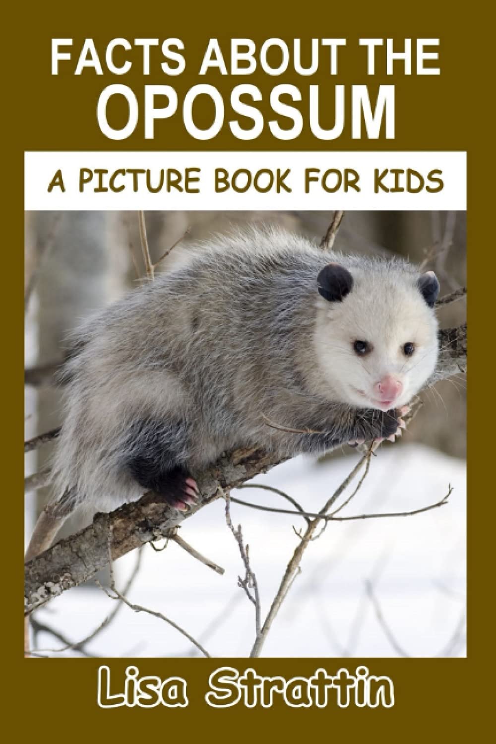 Facts About the Opossum (A Picture Book For Kids)
