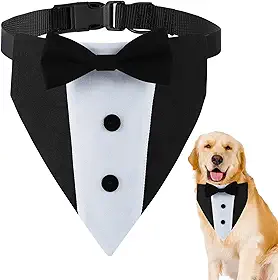 Fantasia de smoking para cachorro com gravata borboleta ajustável pescoço 38 a 63 cm