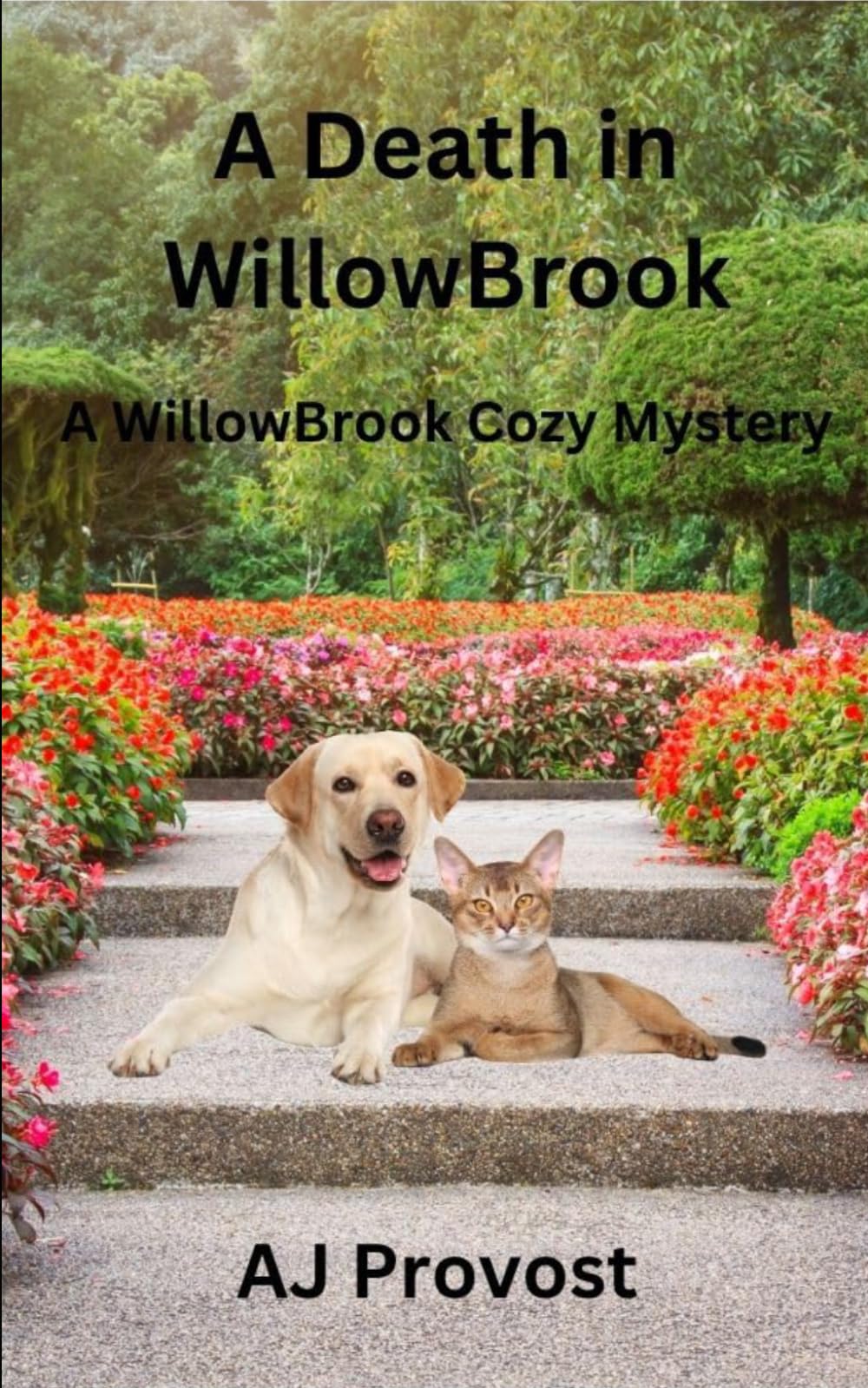 A Death in WillowBrook: Cozy Mystery