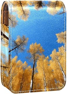 Makeup Organizer,Makeup Lipstick Case for Out...