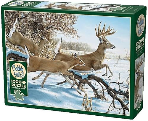 Miniatura 2 de Cobble Hill - Rompecabezas de 1000 piezas, cubierta de ruptura, póster de muestra incluido