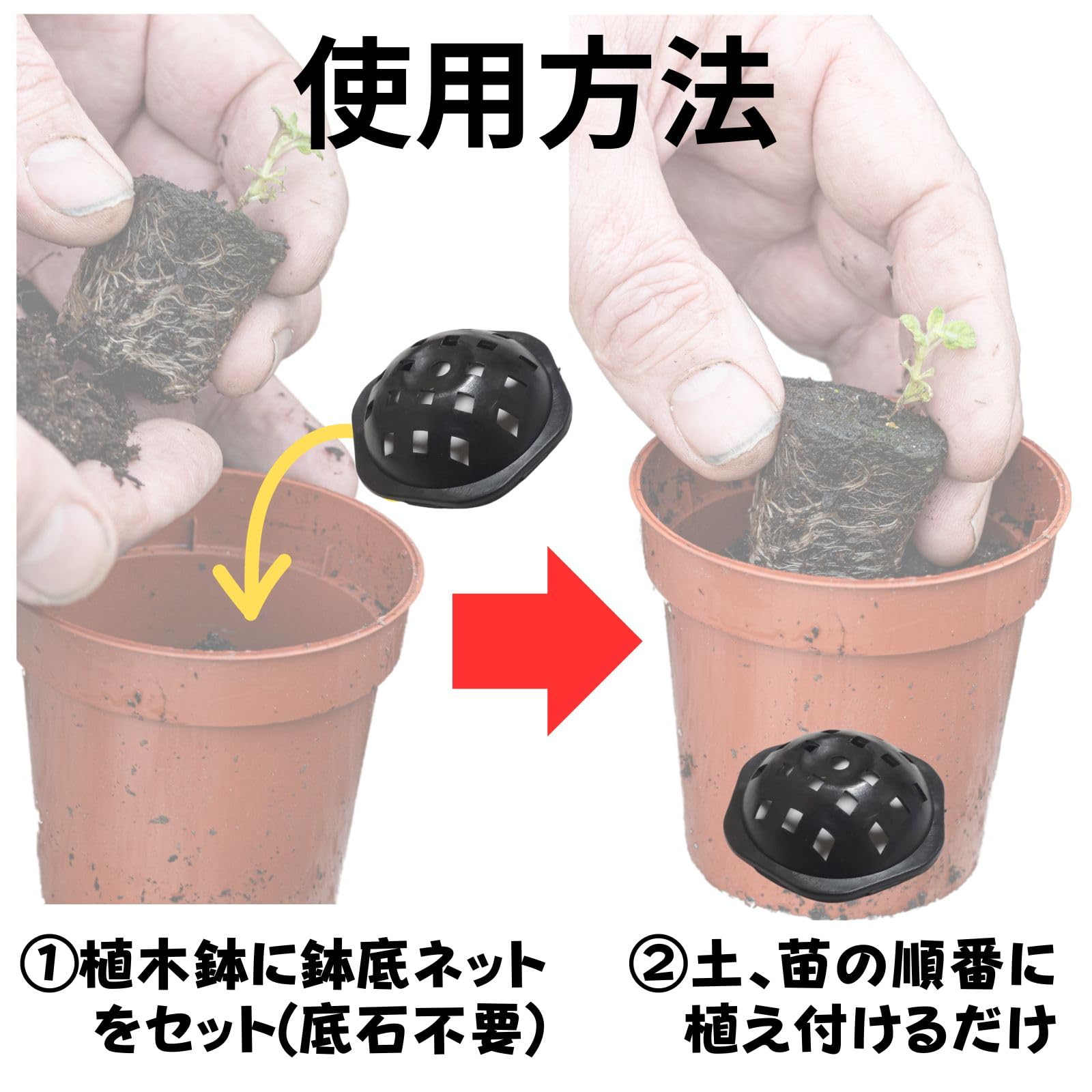 Amazon.co.jp: Leap Raupe 鉢底ネット 立体 丸 直径3.1cm 10枚 : DIY