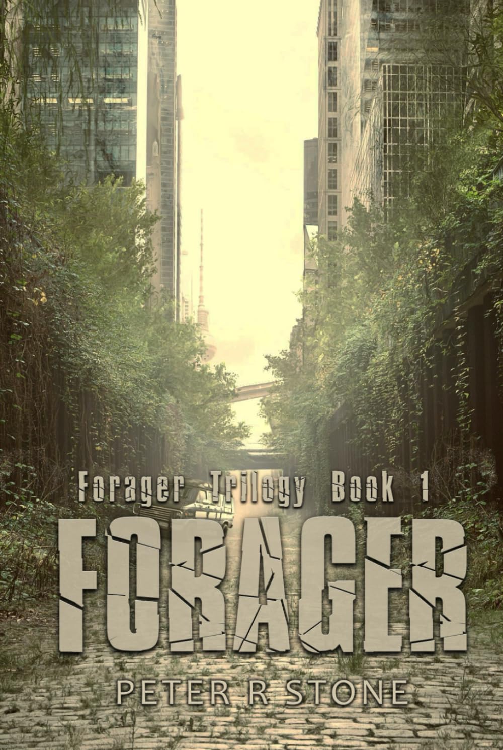 Forager: Forager Series Book 1 (Forager - A Post Apocalyptic/Dystopian Six Book Series)