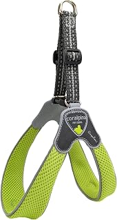 Coralpina - Arnés de cinquetorri para perros de pequeño a mediano, suave y transpirable, no daña el pelo y no obstaculiza los movimientos, color verde, talla 3