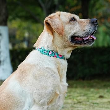 Basic Dog Collar, Rose Pattern, Polyester Material, 4 for Small Medium Large Dogs.(S, Green Rose)