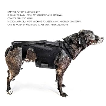 犬のリハビリテーション 楽天市場】【楽天ランキング1位受賞】犬 車椅子 後ろ足 2輪 犬用