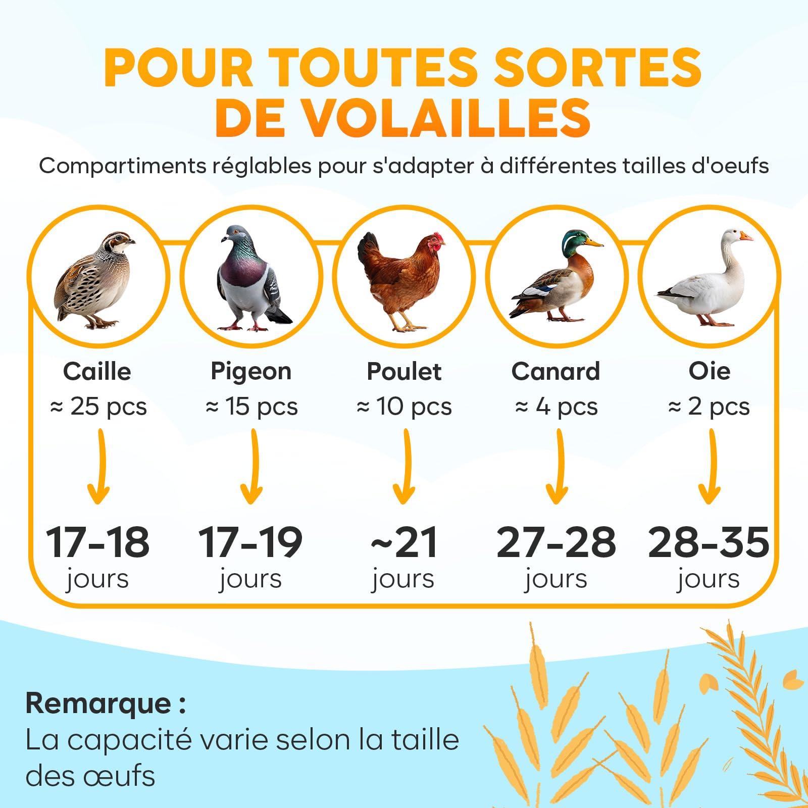 Couveuse M10 Automatique 10 Oeufs - Contrôle Humidité et Retournement | Mire-Œuf Intégré, Fenêtre Transparente, Manuel Simple Adapté Débutants, Familles, Projets Pédagogiques - Vert Jaune