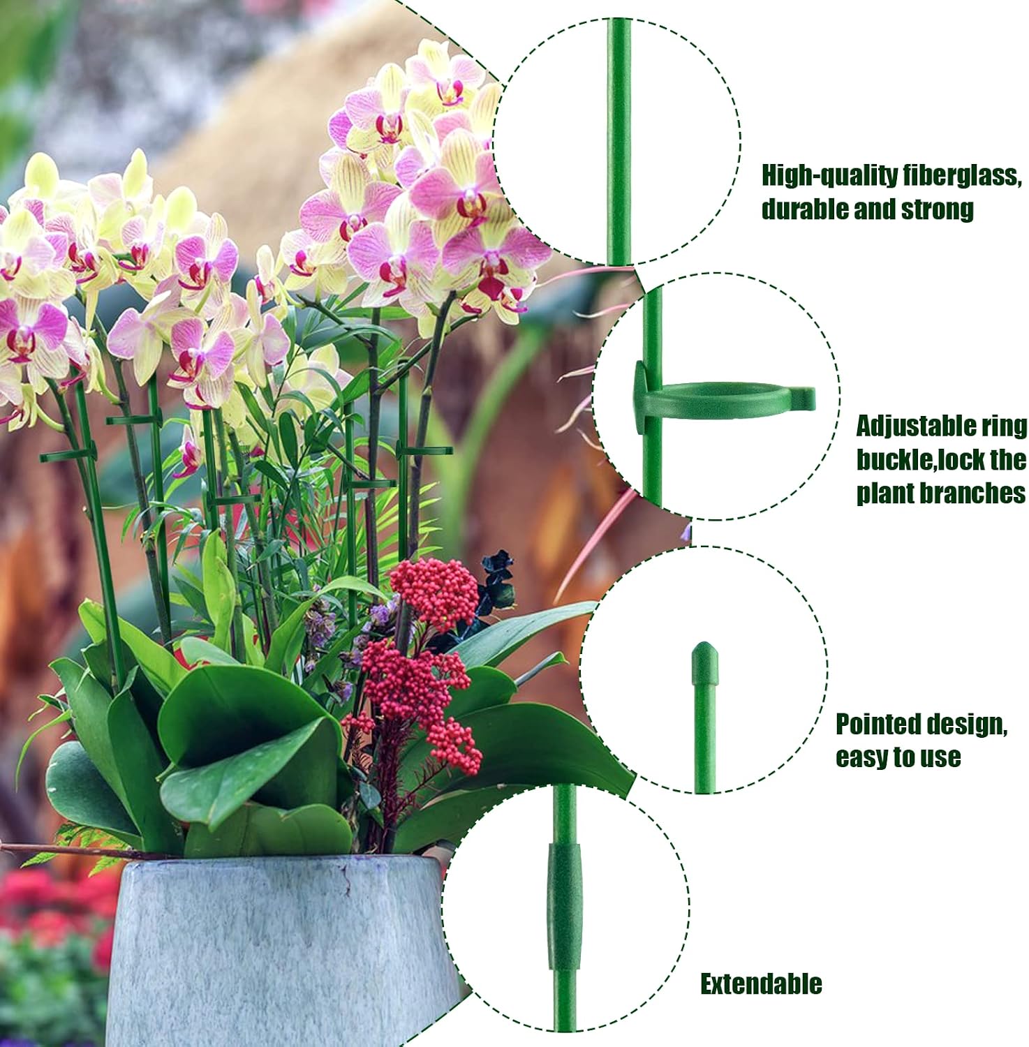 12 Pcs Plant Support Stakes, Adjustable & Extensible Garden Single Stem Floral Orchid Stakes with 24 Buckles, Plant Support Rings for Indoor and Outdoor Plants Flowers Tomatoes - 16 inch