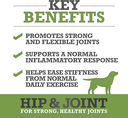 Miniatura 2 de WINPRO Suplemento de cadera y articulaciones para perros, masticables suaves impulsados por plasma para la salud y movilidad de las articulaciones,