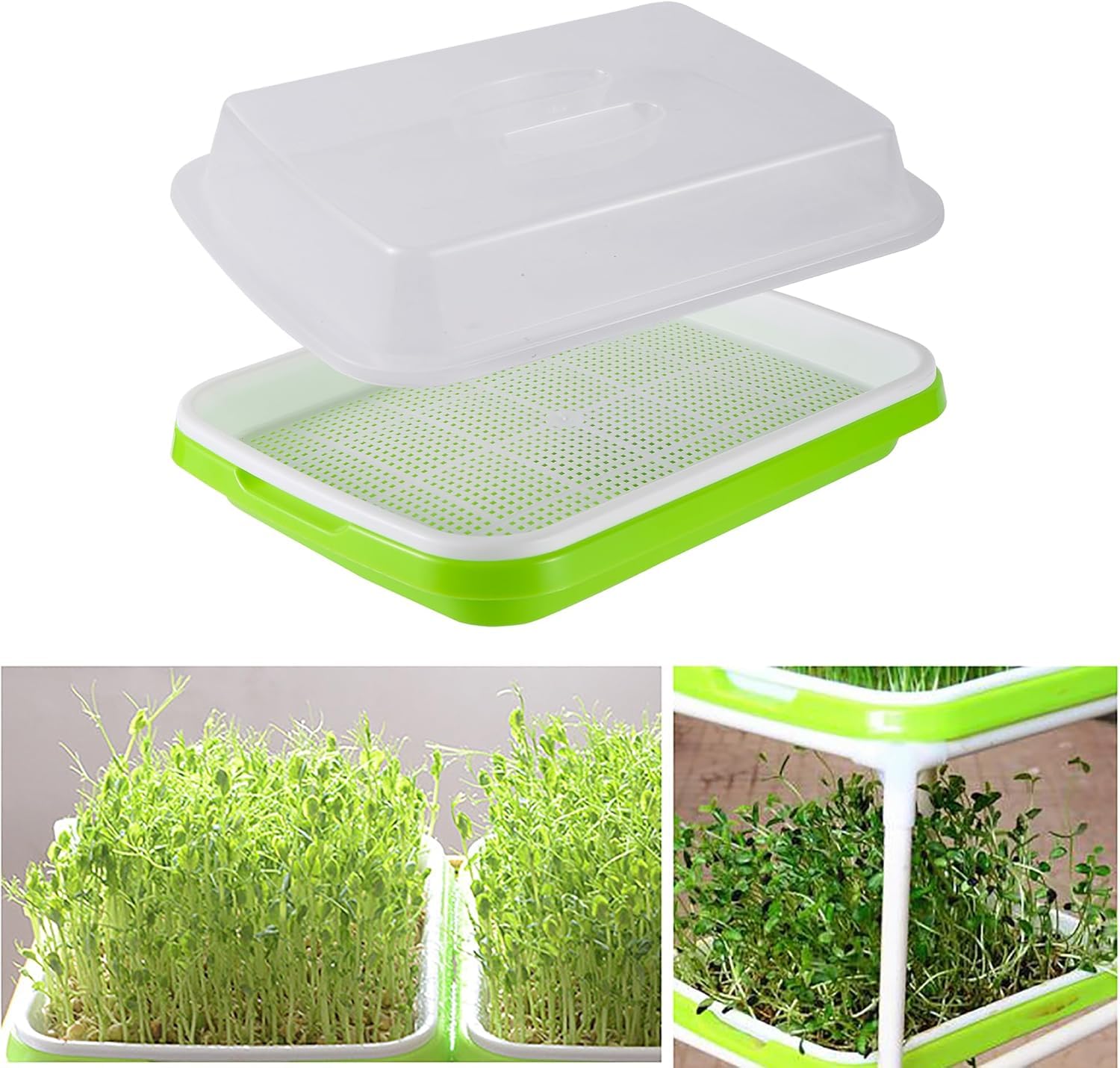 Plateau de germination de graines pour semis de blé et herbe - Pot de culture sans sol pour germination des graines - Gris foncé moyen