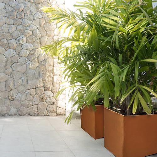 Miniatura 8 de Corten - Maceta de acero cuadrada de metal, maceta grande de acero, para exteriores, planta alta, duradera, antigüedad, separada para patio, terraza