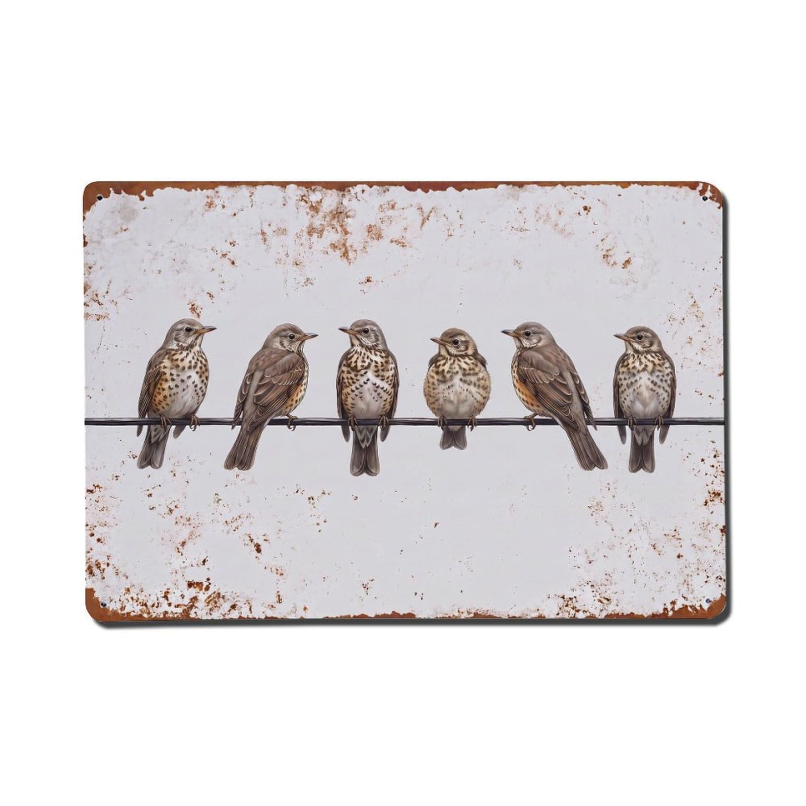 Vintage Retro Birds Mistle Thrush Metal Tin Sign