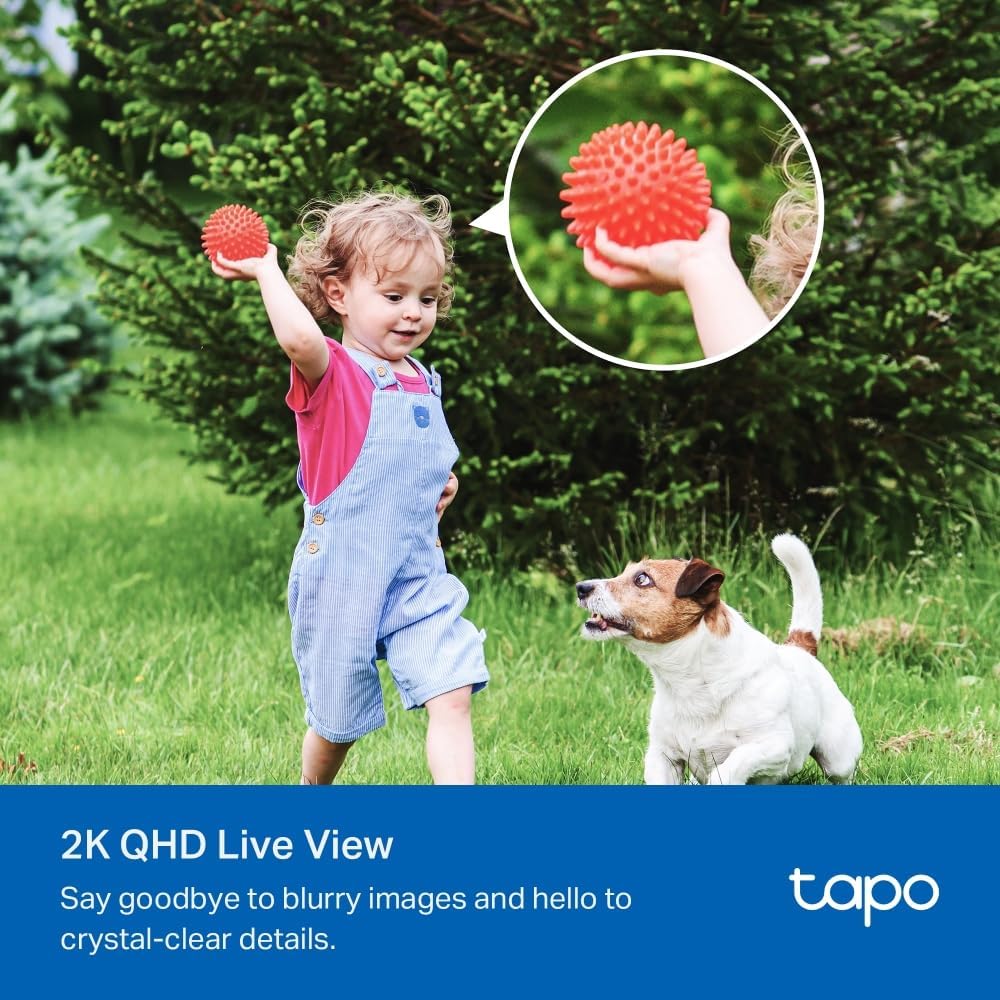 Child and dog, demonstrating 2K QHD live view clarity