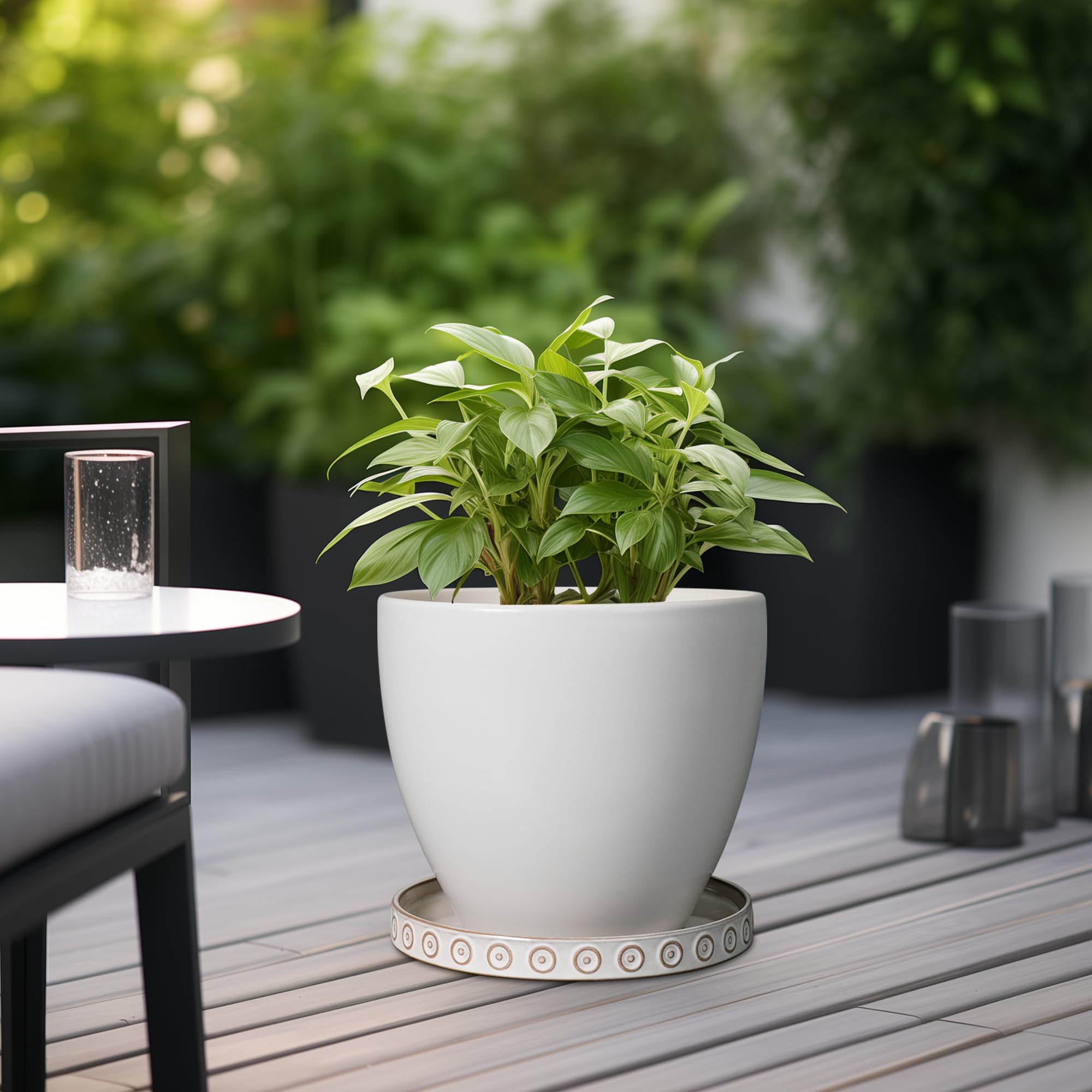 Cream White Plant Saucers - Drainage Trays -4 Cream White Plant Saucers - Drainage Trays -4