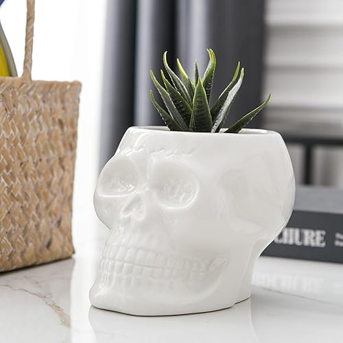 Miniatura 9 de Macetas de calavera, jarrón de esqueleto para suculentas, flores, centro de mesa gótico para mesa, decoración punk para el hogar y accesorios,