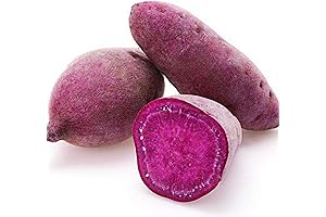 QAUZUY GARDEN Rare Purple Sweet Potato Seeds