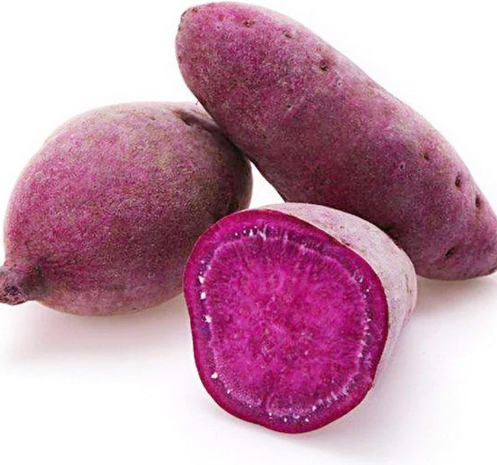 Rare Sweet Potato Seeds 100 Dark Purple Sweetpotato Seeds for Planting Home Garden Nutrition Delicious Non-GMO Heirloom Vegetable Seed