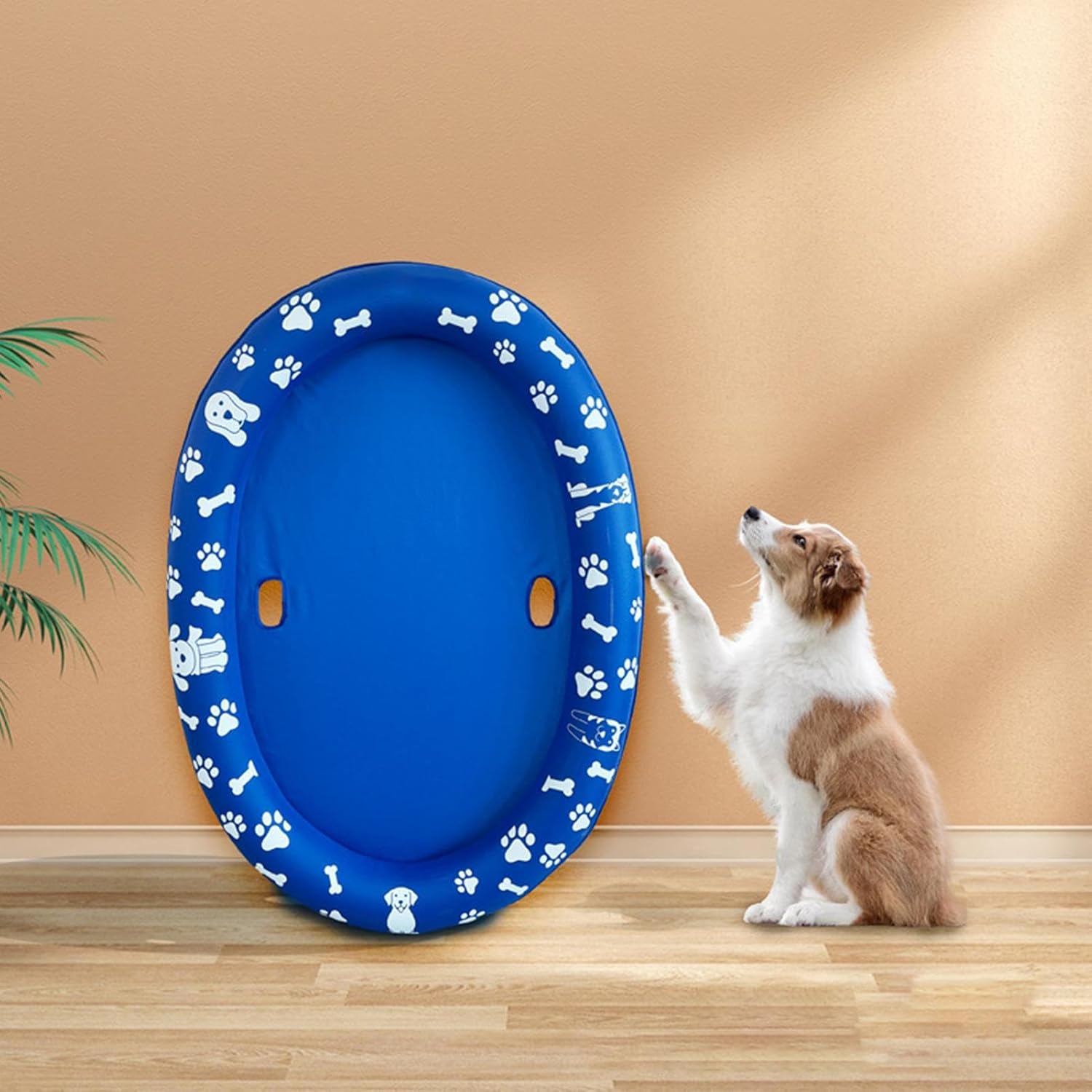 せ*り様 [未開封]Secretlayer magiccon ᖴOIᒪ 楽天市場】secret lair