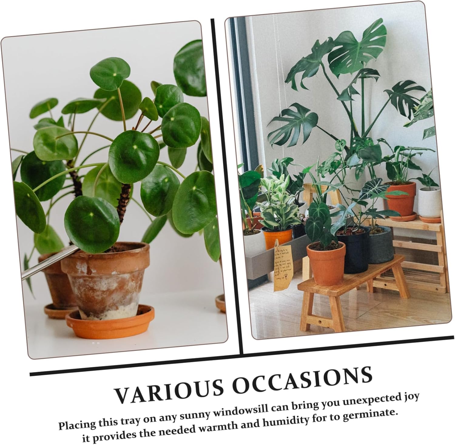 4pcs Plant Germination Trays Black Plant Nursery Plates for Easy Propagation and Sowing Lightweight and Convenient Growing Trays for Indoor and Outdoor Gardening