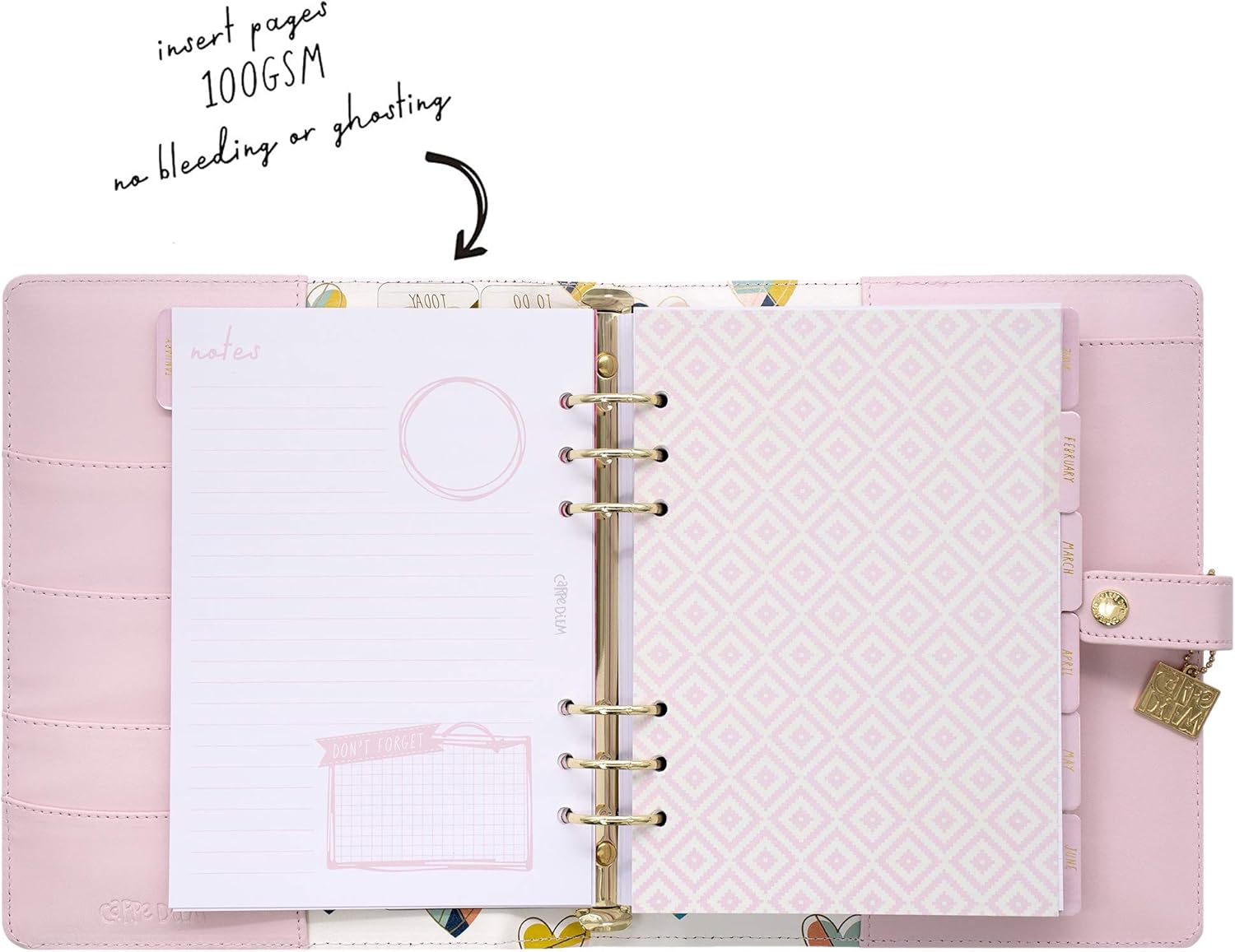 Pukka Pad, Carpe Diem A5 Planner with Weekly, Monthly Undated Inserts, 10 X 9.5 X 2 Inches, Ballerina Pink