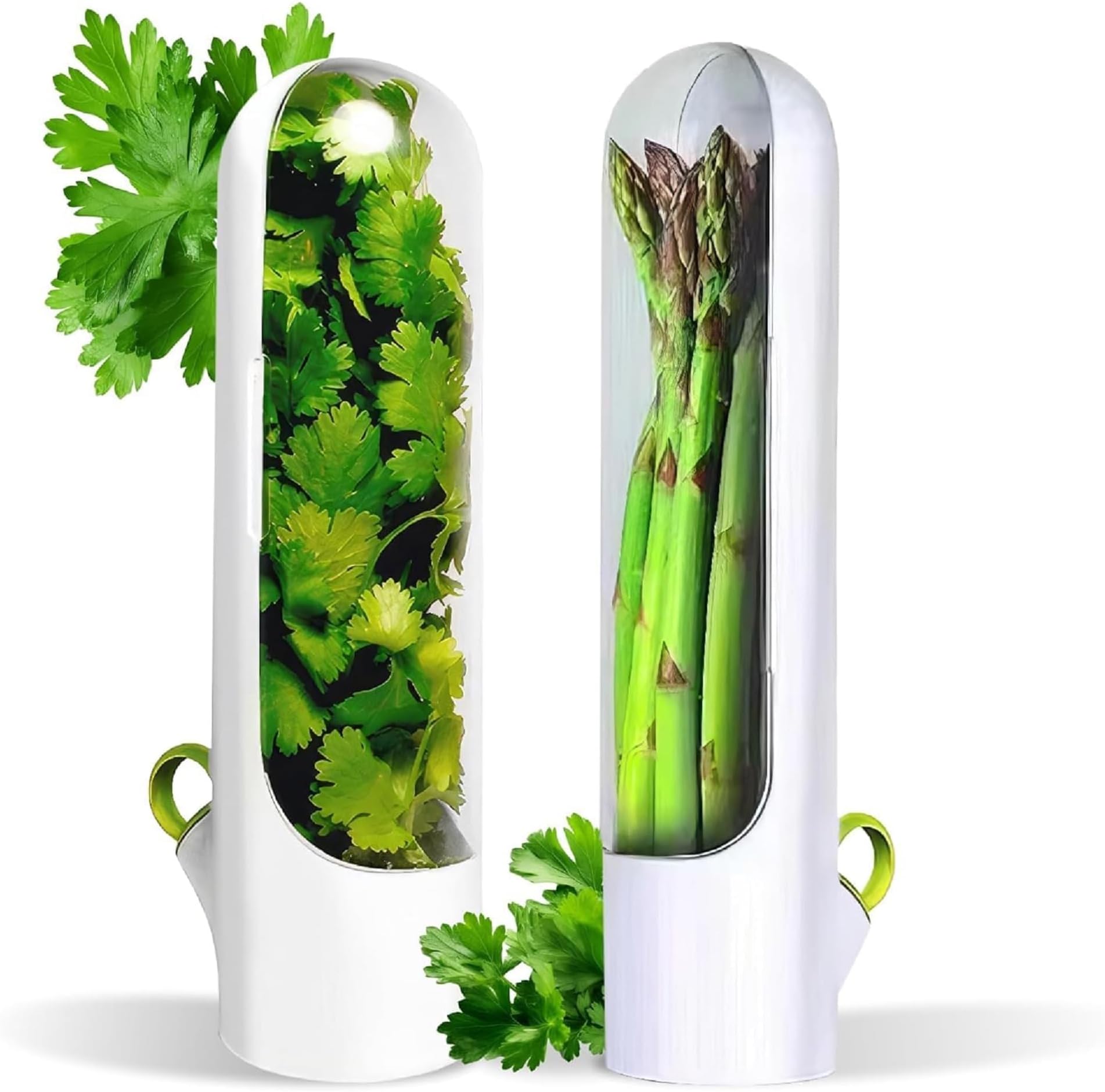 Herb Keeper Storage Container with Water Reservoir, Transparent Cover, Vertical Refrigerator Organizer
