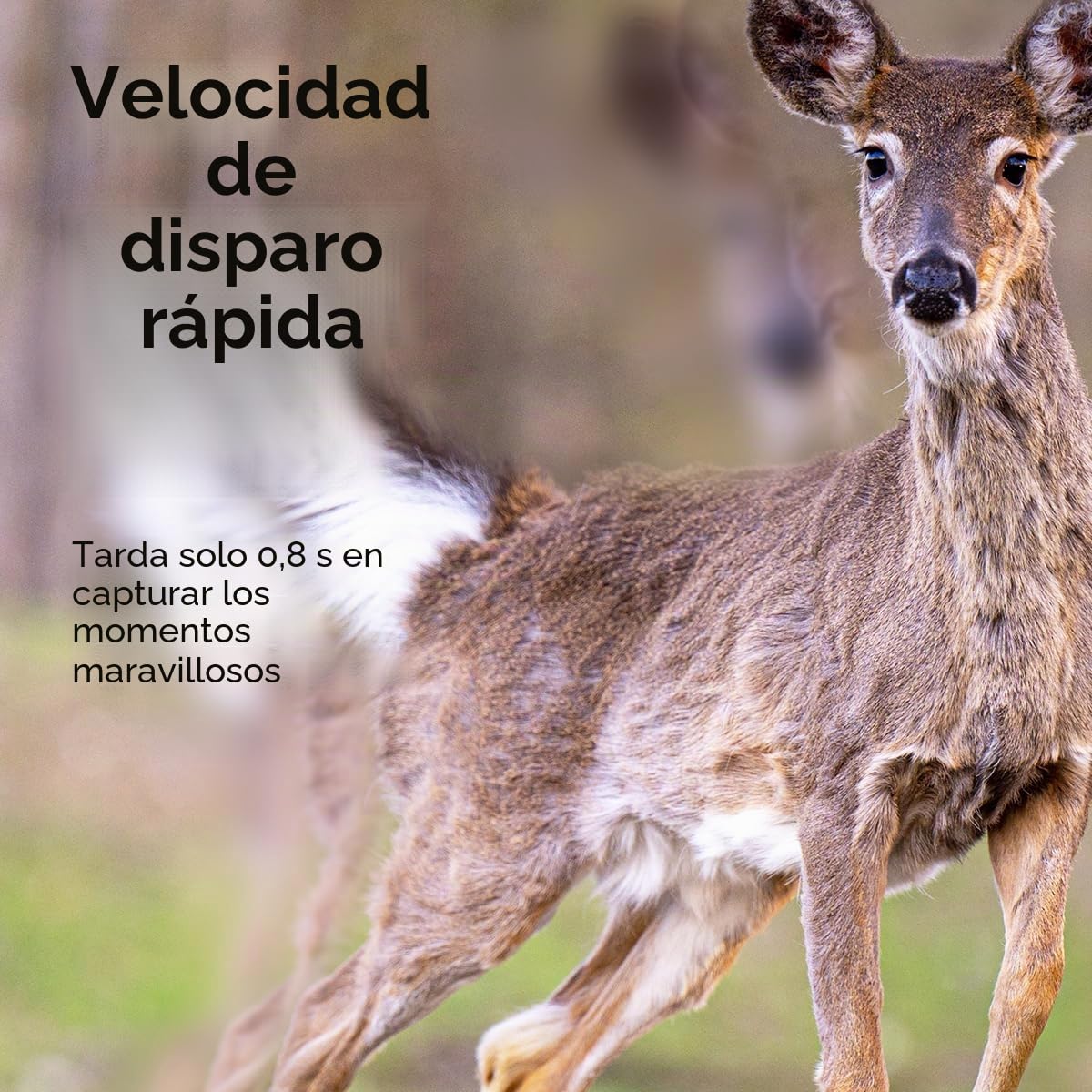 Cámara de vida silvestre con visión nocturna, disparador de calor y movimiento, resolución Full HD 1080p (1920 x 1080 (16:9) a 30 fps), protección IP66, rango de detección IR de gran angular de 90°