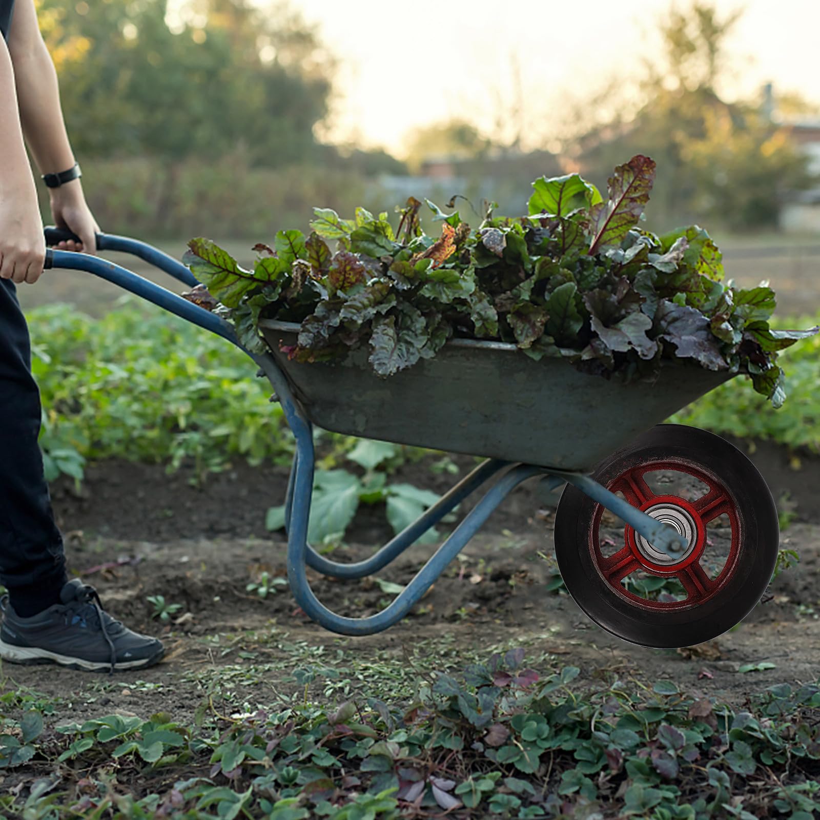 Roue de Chariot de Jardin Noir 8 Pouces en Caoutchouc et Fer, Résistance Élevée et Élasticité, Remplacement Pratique pour Transport de Jardin