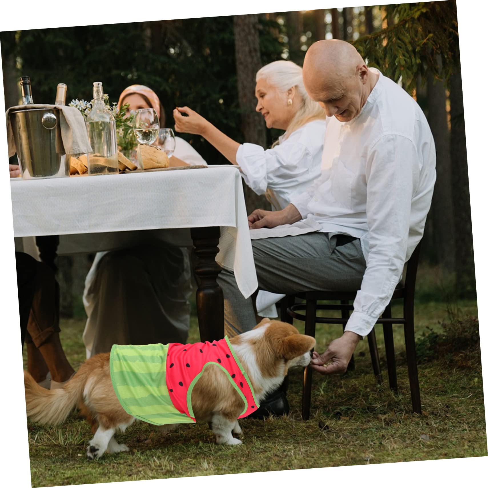 Gilet Rafraîchissant pour Chien Été, Taille L, Soie, Pastèque | Taille Xl, Design Adorable, pour Activités Extérieures, à Enfiler et Retirer Facilement