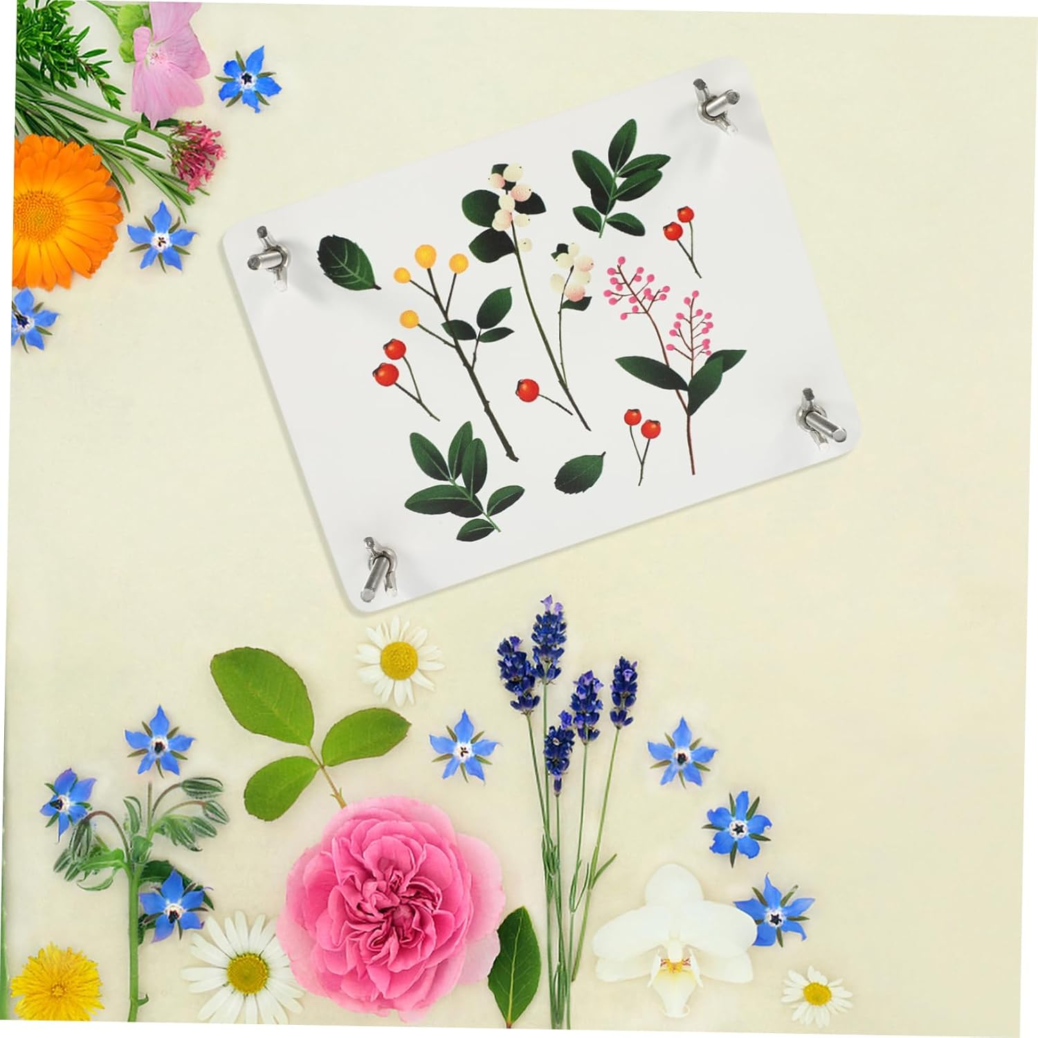 Angoily Flower Pressing Kit DIY Dried Flower Press with Wooden Board for Crafting Embossing Plant Specimens for Scrapbooking Greeting Cards and Art Projects