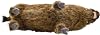 Canal BH4092 HANSA Boar 52