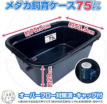 【新仕様】メダカ飼育ケース 75㍑黒x3個 オーバーフロー加工済 金魚飼育容器 Amazon | 五色アクア メダカ飼育容器 75リットル 黒