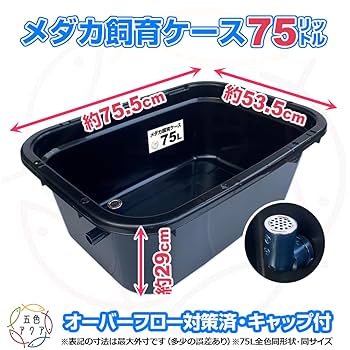 【新仕様】メダカ飼育ケース 75㍑黒x3個 オーバーフロー対策済 金魚飼育容器 新仕様】メダカ飼育ケース 75㍑黒x1個 オーバーフロー加工済