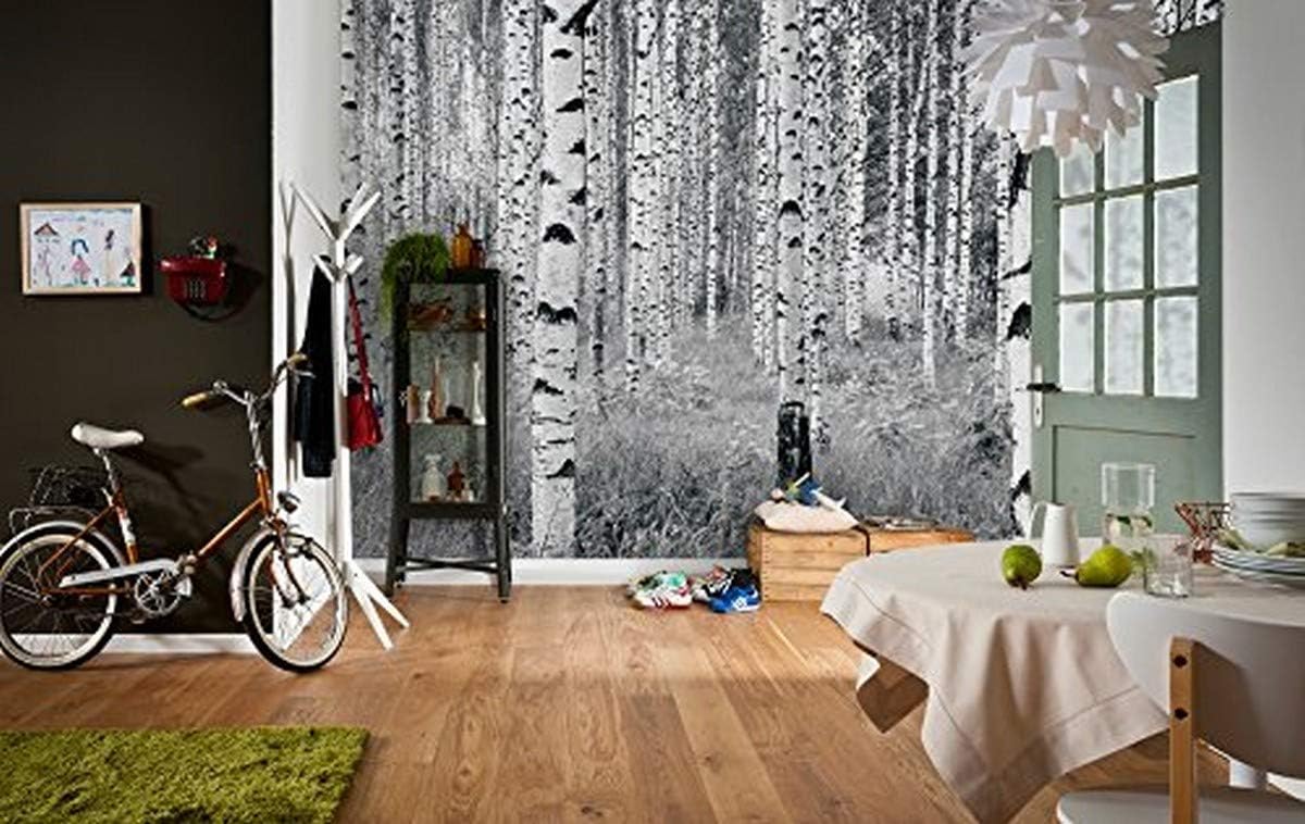 Komar XXL4023 Birch Forest Wall Mural, White & OffWhite