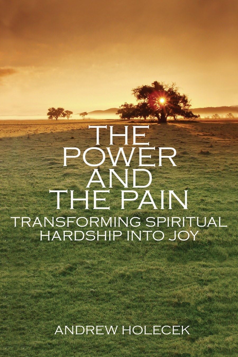 Buy The Power and the Pain: Transforming Spiritual Hardship into Joy — BookShops.in