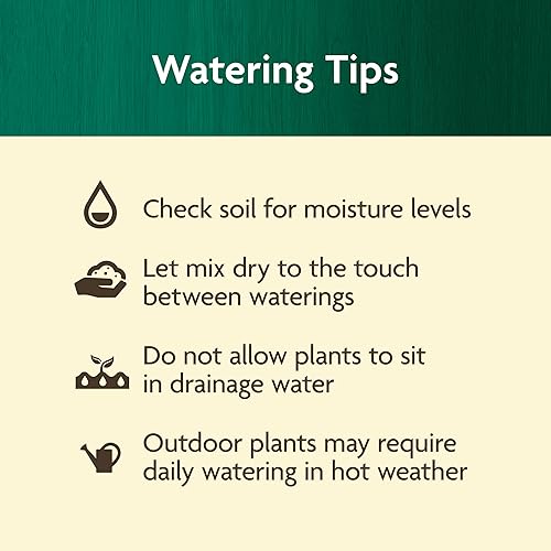 Miniatura 9 de Miracle-Gro Tabletas de plantación orgánicas, para trasplantes y plantas iniciales, formuladas con calcio, Jump Starts Root Growth, con