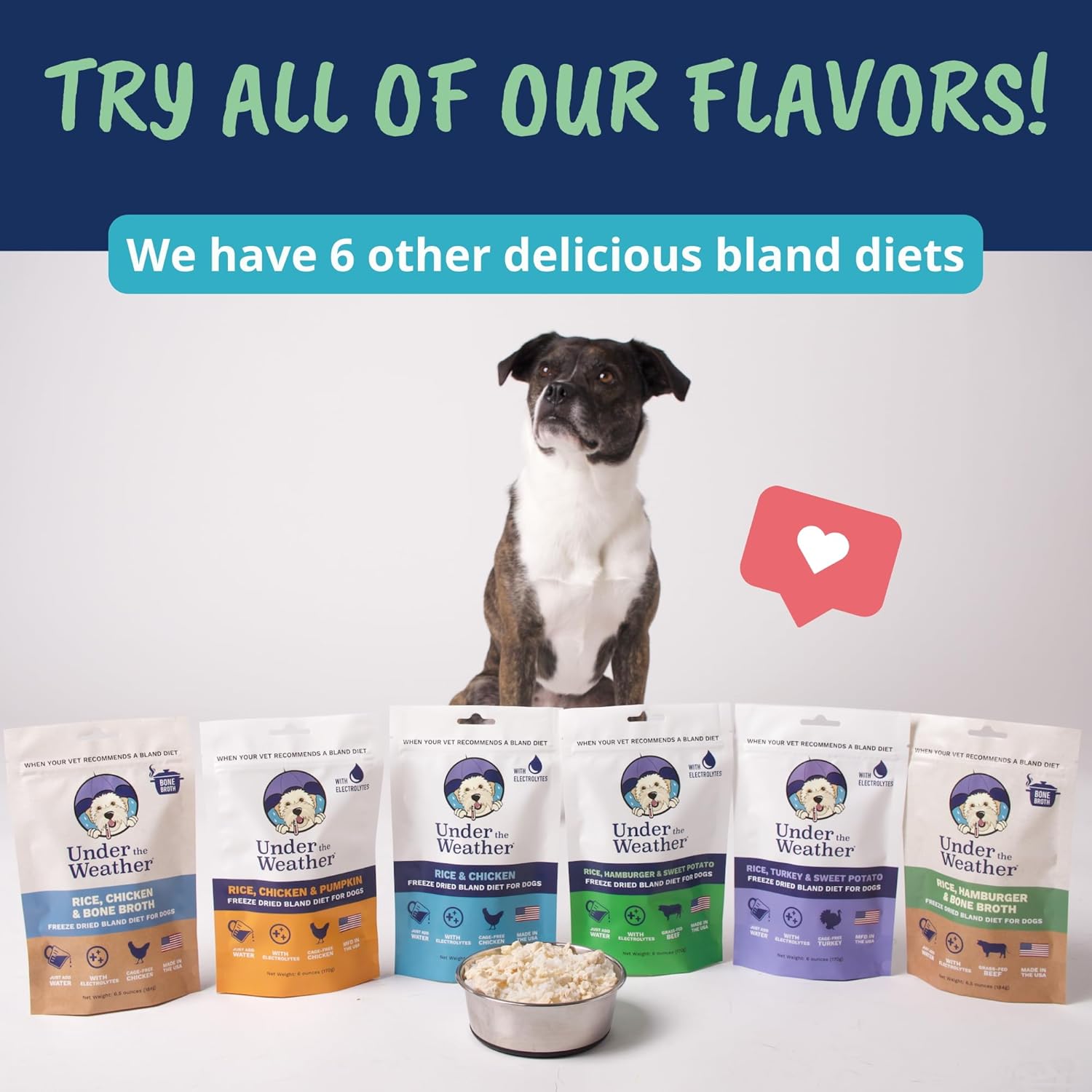 Under the Weather Bland Diet for Dogs | Easy to Digest for Sick Dogs | Always Be Ready | Contains Electrolytes - Natural Freeze Dried 100% Human Grade Meats| 2 Pack- Rice, Hamburger & Bone Broth - 6oz