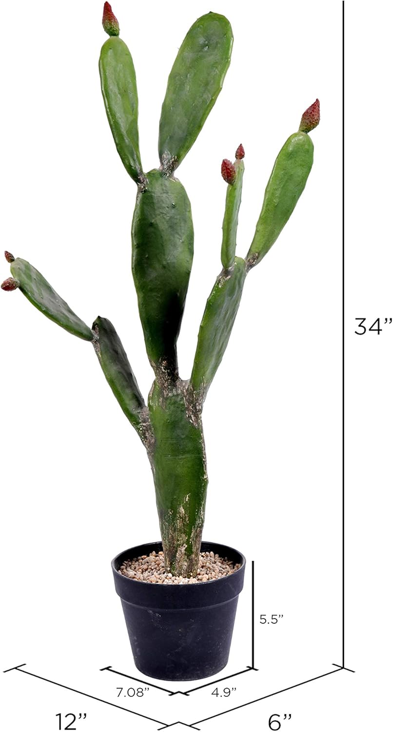 Vickerman Everyday 57 Artificial Green Cactus in a Black Plastic Planters Pot - Faux Indoor Potted Plant - Greenery for Home or Office Decor - Maintenance Free