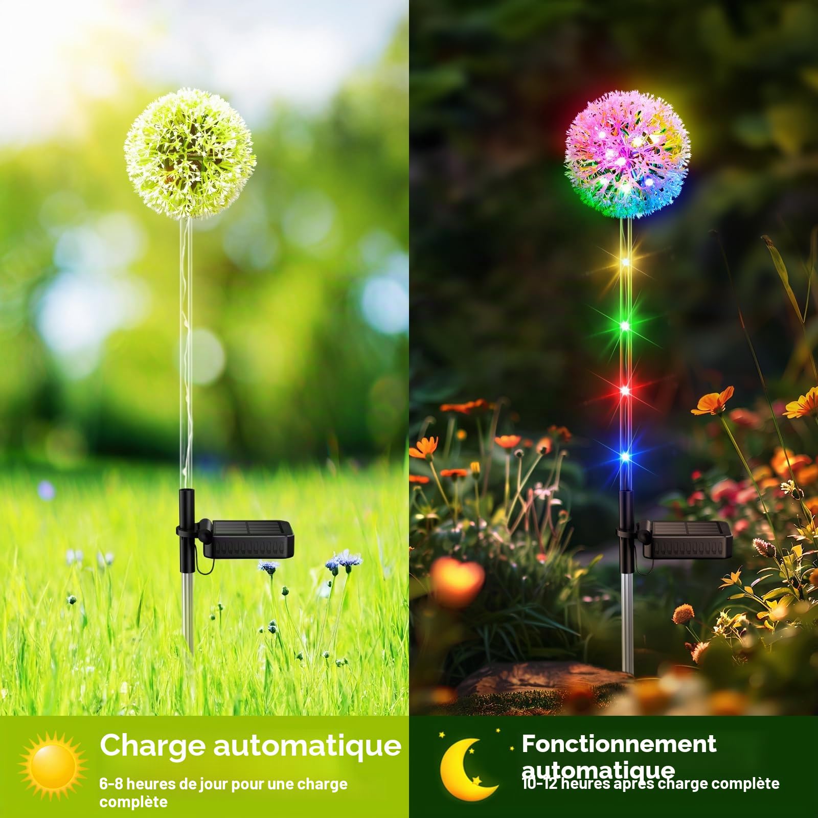 BUCASA Lampe Solaire Exterieur, 4 Pièces Upgraded Lumiere Solaire Pissenlit avec RGB LED, Étanche Solar Lumière Exterieur Jardin pour Pelouse, Balcon, Terrasse, Cour, Regalo
