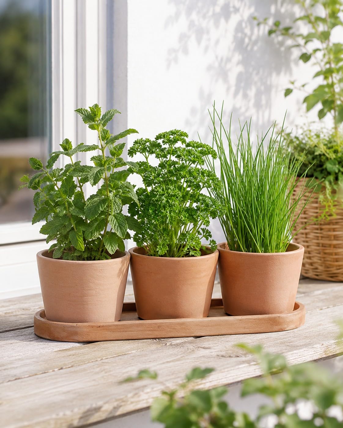 Palatina Werkstatt Kräutertopf Trio Terracotta mit Tablett 48x16x13 cm – 3 Kräutertöpfe Ø15 cm für Küche, Balkon & Garten, Pflanztopf Set für frische Kräuter innen und außen