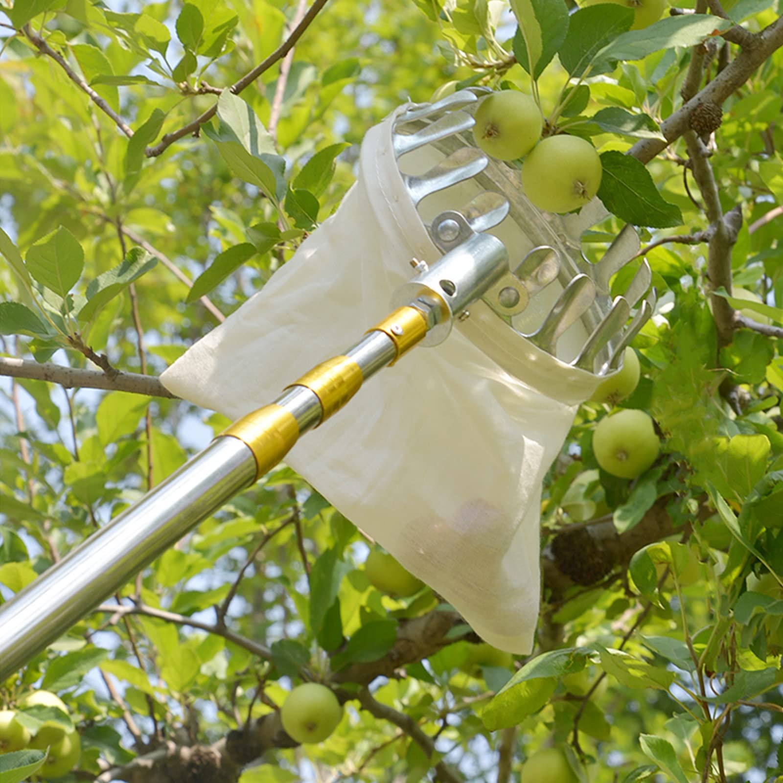 Hulpmiddelen voor het Plukken van Fruit - Lichtgewicht en Gemakkelijk te Gebruiken Fruitplukker met Telescopische Roestvrijstalen Stang en Mandje(White,5m(16.4ft