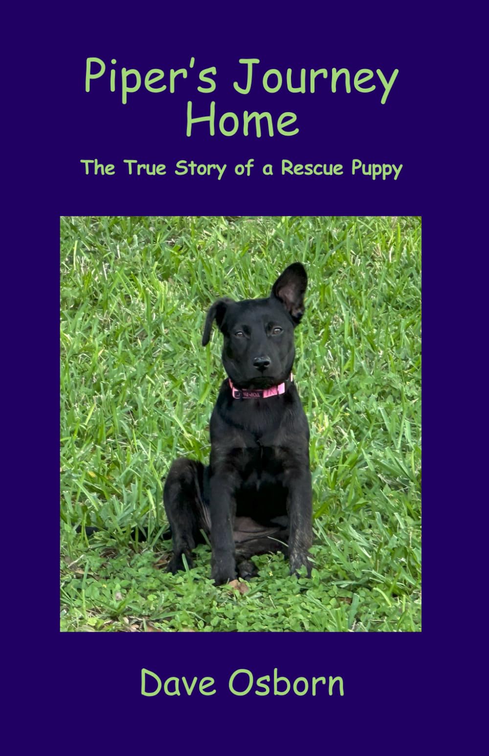 Piper's Journey Home: The True Story of a Rescue Puppy (The Adventures of Piper)