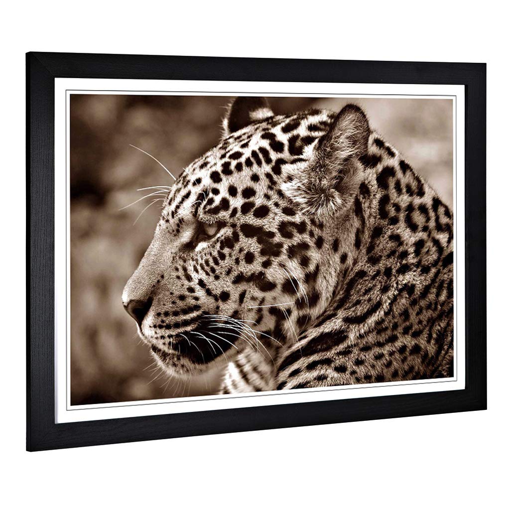 Big Box Art Framed Print of Jaguar Design | Wall Art Picture | Home Decor for Kitchen, Living, Dining Room, Lounge, Bedroom, Hallway, Office, Black, A2 / 24.5x18 Inch / 62x45cm