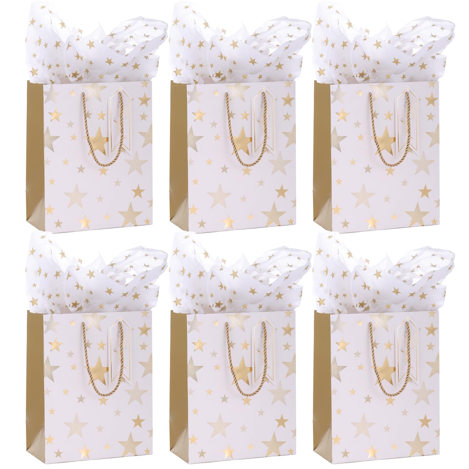 6pcs Medium Gift Bags With Tissue Paper and Gift Tags for Women,Men's Birthday,Valentine's Day,Christmas,Small Business,Thank You Bags All Occation (Medium) — image 1