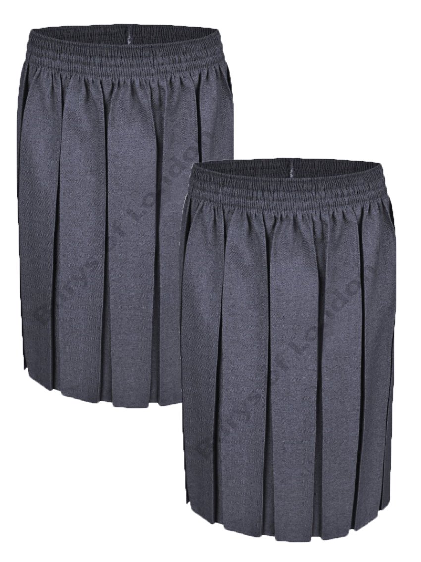 Ayra: Twin Pack Girls School Box Pleat Skirt (Age 17-18, Grey)